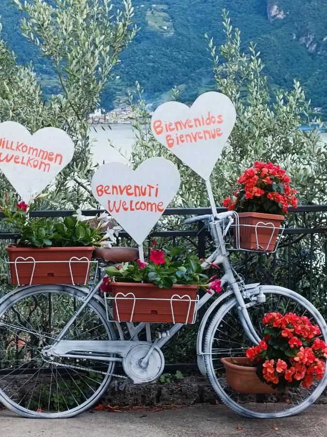 B&B Bellavista Castro  Dış mekan fotoğraf