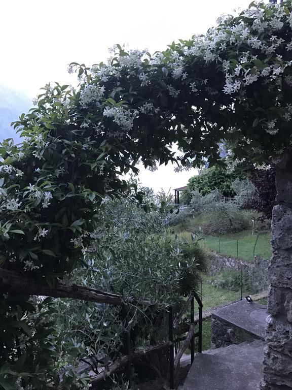 B&B Bellavista Castro  Dış mekan fotoğraf